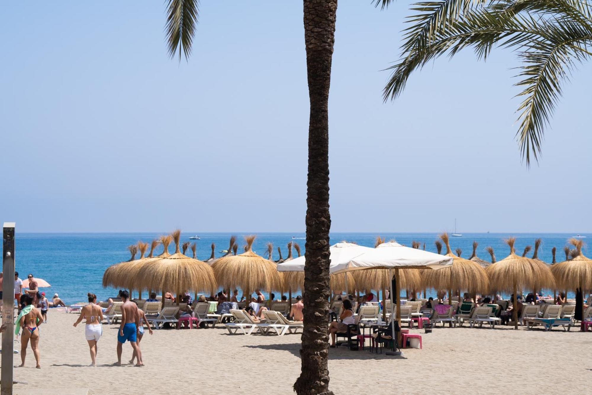 714 Luxury Plaza Estudio Junto A La Playa Appartement